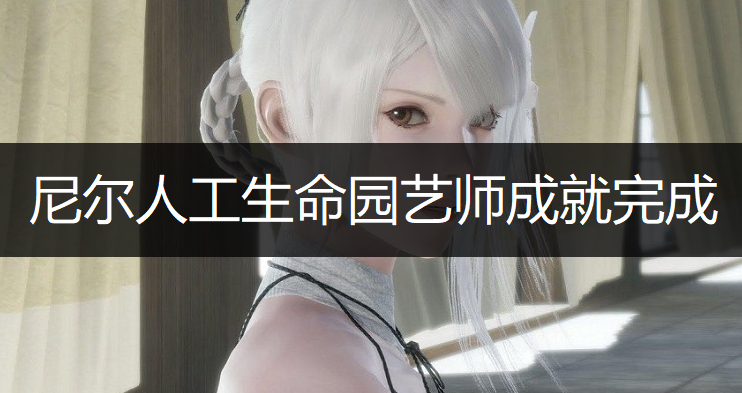 尼尔人工生命园艺师成就完成详解