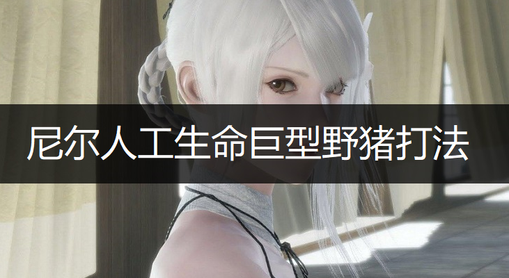 尼尔人工生命巨型野猪打法分享