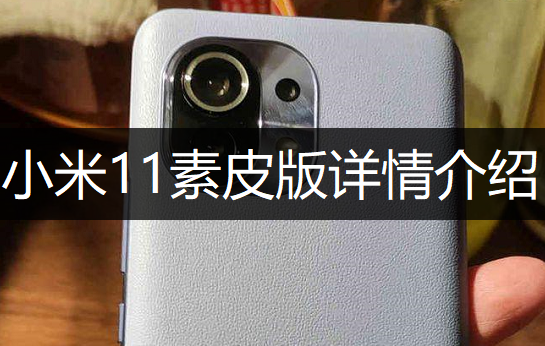 小米11素皮版详情介绍