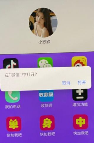 stepichu社交芯片