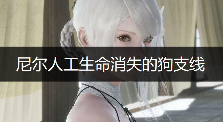 尼尔人工生命消失的狗支线任务玩法说明