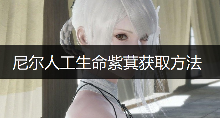 尼尔人工生命紫萁获取方法分享