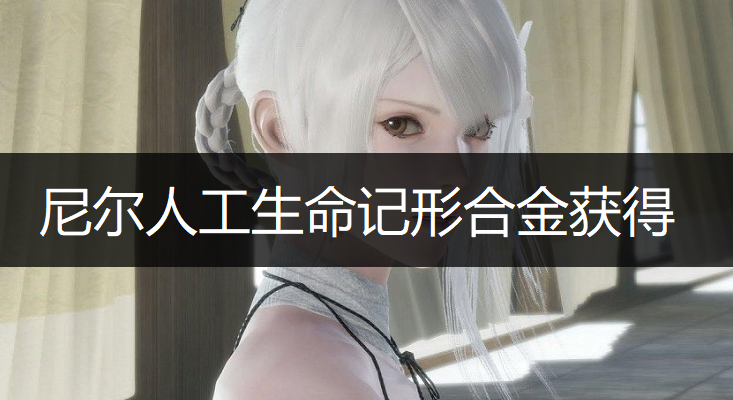 尼尔人工生命记形合金获得方法分享