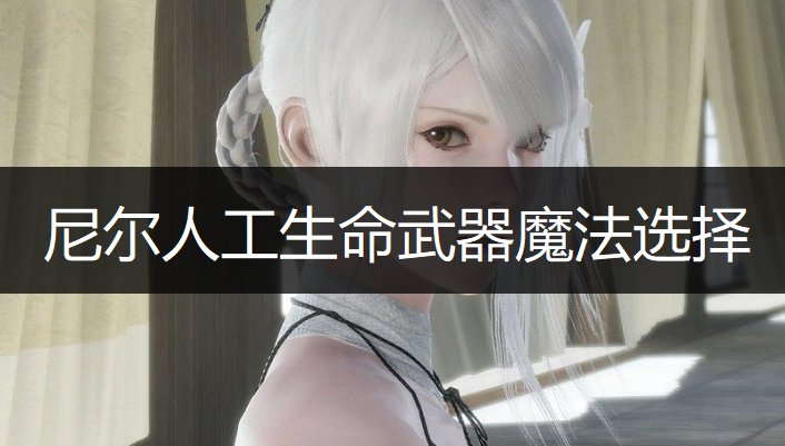 尼尔人工生命武器魔法选择分享