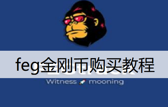 feg金刚币购买教程说明