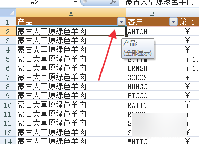 如何使用excel的筛选功能