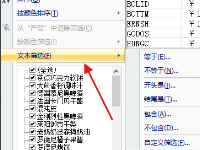 如何使用excel的筛选功能