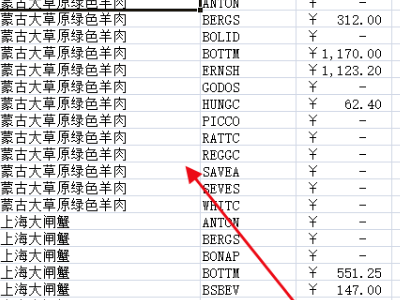 如何使用excel的筛选功能