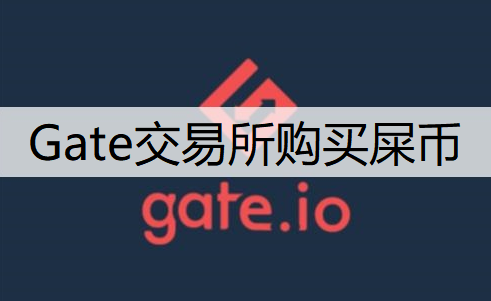 Gate交易所购买屎币流程分享