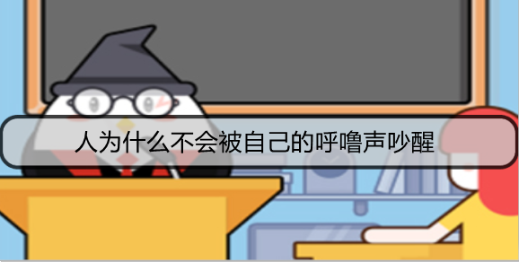 人为什么不会被自己的呼噜声吵醒