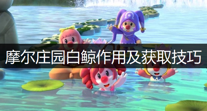 摩尔庄园手游白鲸作用及获取技巧说明
