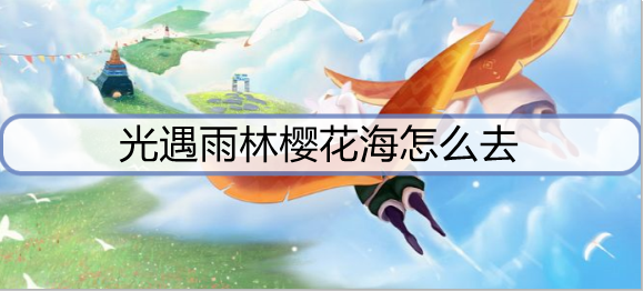 光遇雨林樱花海怎么去