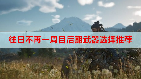 ​往日不再一周目后期武器选择推荐