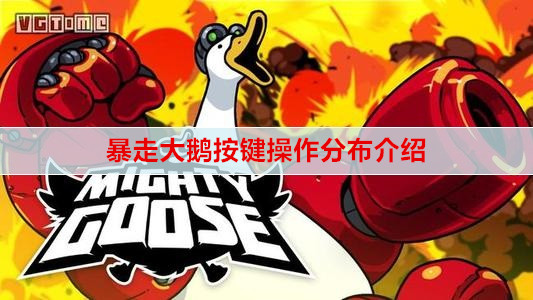 暴走大鹅按键操作分布介绍