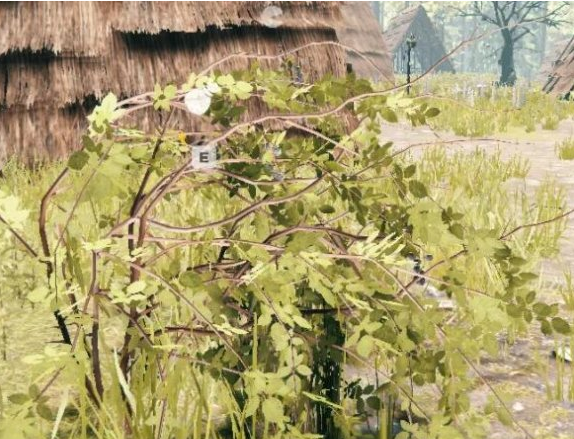 森林The Forest黑莓采集方法