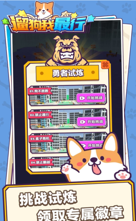 遛狗我最行