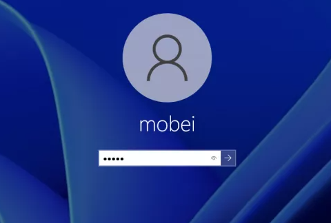windows11安装教程说明