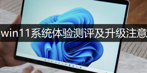 windows11系统体验测评及升级注意说明