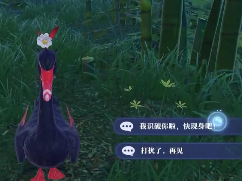 梦幻新诛仙迷路的黑鹅位置说明
