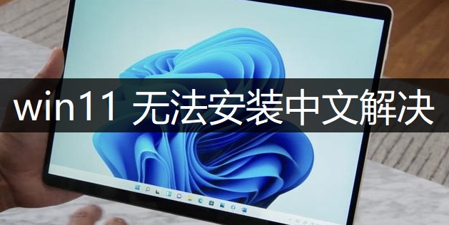 windows11无法安装中文解决方法分享