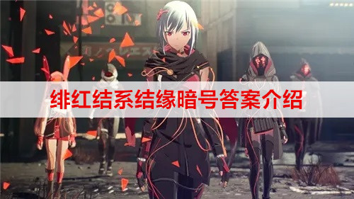 绯红结系结缘暗号答案介绍