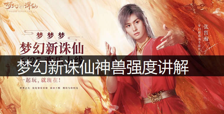 梦幻新诛仙神兽强度讲解