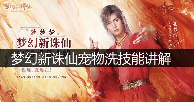梦幻新诛仙宠物洗技能讲解