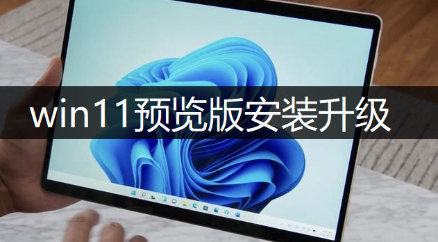 windows11预览版安装升级操作讲解