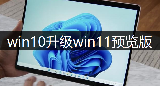 win10升级windows11预览版操作讲解
