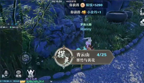 梦幻新诛仙墨竹与黄花位置说明