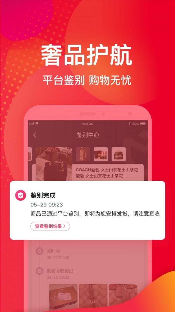 美不