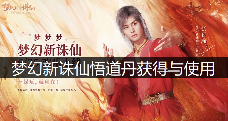 梦幻新诛仙悟道丹获得与使用说明