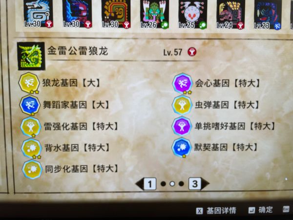 怪物猎人物语2三猜金雷公基因搭配攻略