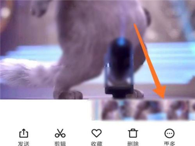 小红书动态壁纸设置方法介绍