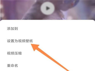 小红书动态壁纸设置方法介绍