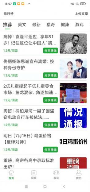 红芋网