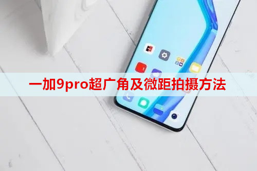 一加9pro超广角及微距拍摄方法
