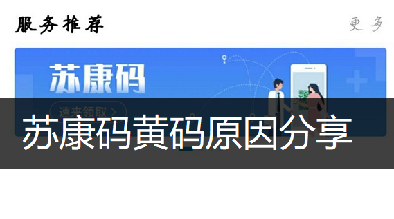苏康码黄码原因分享