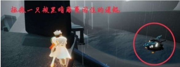 光遇8月9日每日任务怎么做