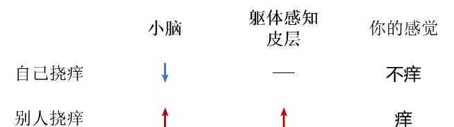 一般来说为什么我们挠自己痒痒时不会感觉到痒