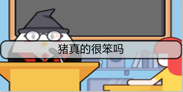 猪真的很笨吗