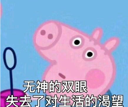 猪真的很笨吗