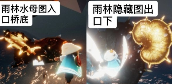 光遇8月13日每日任务怎么做