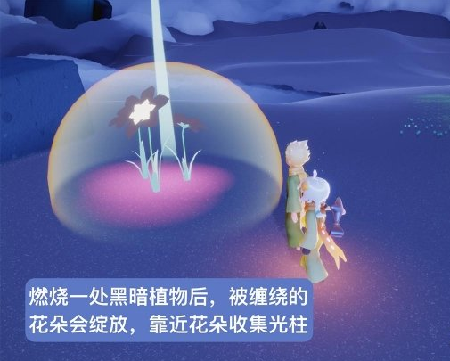 光遇小王子季第四个任务怎么完成