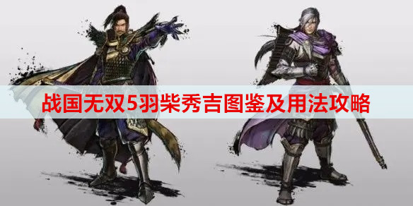 战国无双5羽柴秀吉图鉴及用法攻略