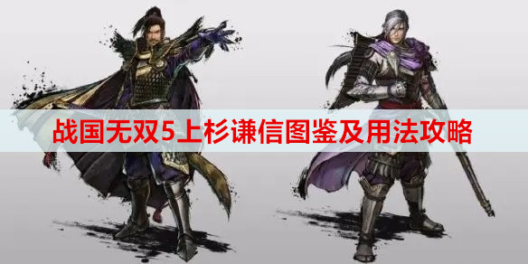 战国无双5上杉谦信图鉴及用法攻略