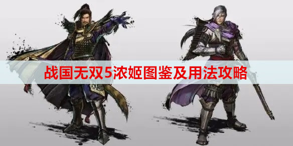 战国无双5浓姬图鉴及用法攻略