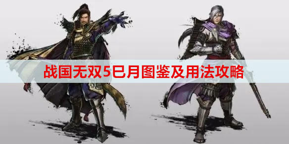 战国无双5巳月图鉴及用法攻略