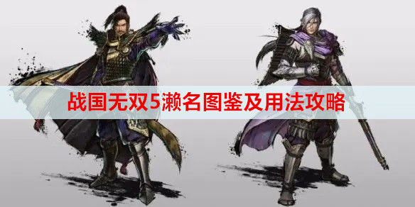 战国无双5濑名图鉴及用法攻略