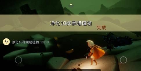 光遇8月19日每日任务怎么做